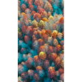 高清风景647