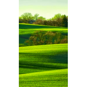 高清风景652
