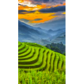 高清风景653