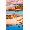 高清风景655