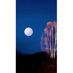 高清风景656