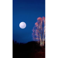 高清风景656
