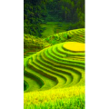 高清风景657
