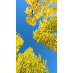 高清风景662