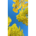高清风景662