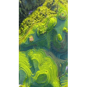 高清风景668