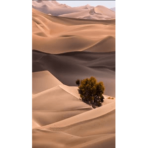 高清风景669