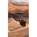 高清风景669