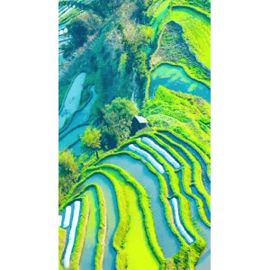 高清风景671