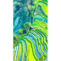 高清风景671