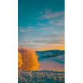 高清风景672