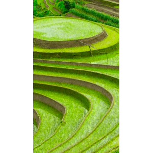 高清风景676
