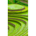 高清风景676