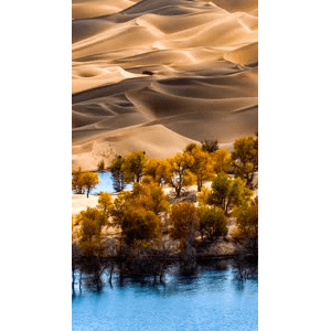 高清风景677