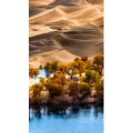 高清风景677