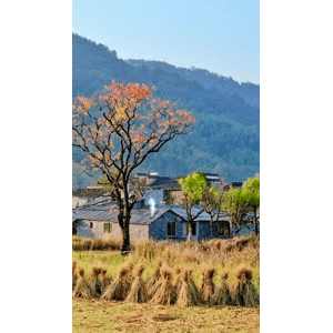 高清风景691