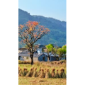 高清风景691