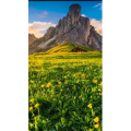 高清风景692