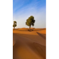高清风景694