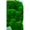 高清风景695