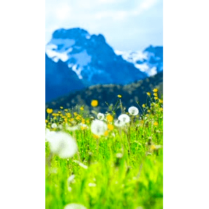 高清风景698