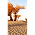 高清风景714