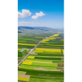高清风景731