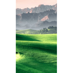 高清风景735