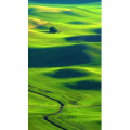 高清风景753