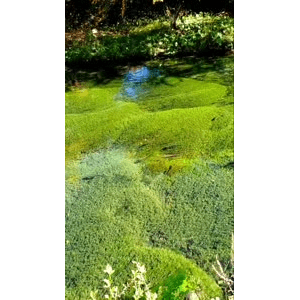 高清风景764