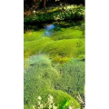 高清风景764
