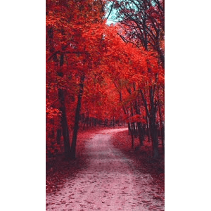 高清风景778
