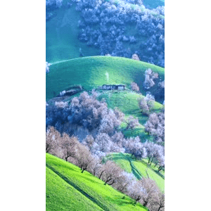 高清风景791