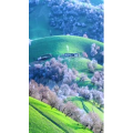 高清风景791