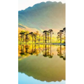 高清风景800