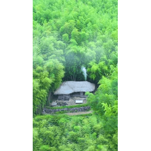 高清风景806