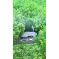 高清风景806