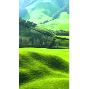 高清风景808