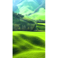 高清风景808