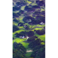 高清风景809