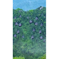 高清风景810