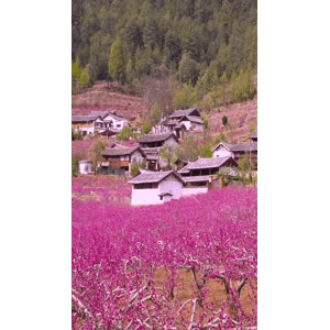 高清风景833