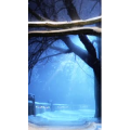 高清风景835