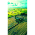 高清风景839
