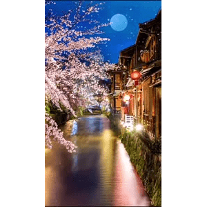 高清风景848