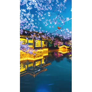 高清风景854