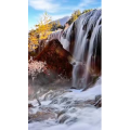 高清风景864