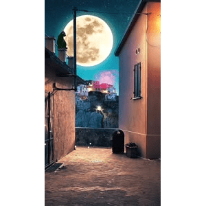 高清风景865