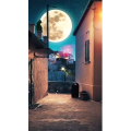 高清风景865