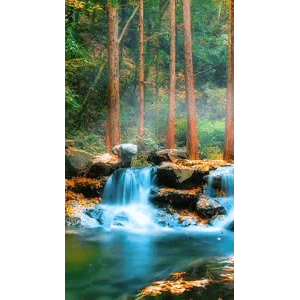 高清风景868